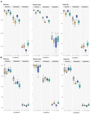 Effect of Inorganic N Top Dressing and Trichoderma harzianum Seed-Inoculation on Crop Yield and the Shaping of Root Microbial Communities of Wheat Plants Cultivated Under High Basal N Fertilization